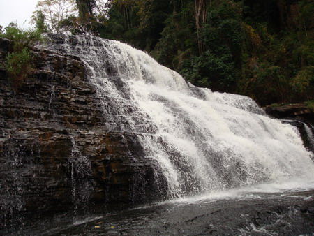 QUYẾT ĐỊNH Về việc cho phép chuyển mục đích sử dụng đất